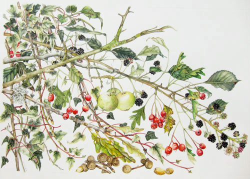 Elisabeth Bramwell, Hedgerow