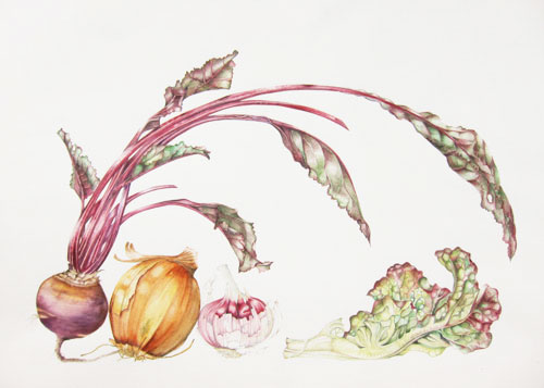 Elisabeth Bramwell, Vegetables